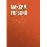 Постер книги Убежал