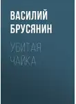 Василий Брусянин - Убитая чайка