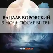 Постер книги В ночь после битвы