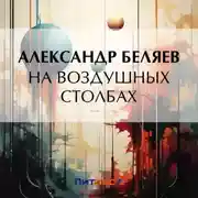 Постер книги На воздушных столбах