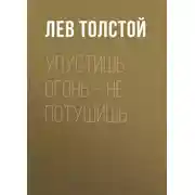 Постер книги Упустишь огонь – не потушишь