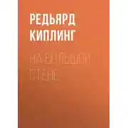 Постер книги На большой стене