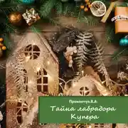 Постер книги Тайна лабрадора Купера