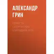 Постер книги Повесть, оконченная благодаря пуле