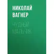 Постер книги Чудный мальчик