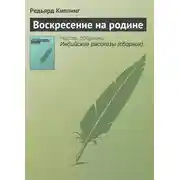 Постер книги Воскресение на родине