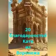 Постер книги 20 благодарностей Кате из Воронежа