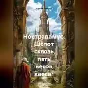 Постер книги Нострадамус. Шёпот сквозь пять веков хаоса?