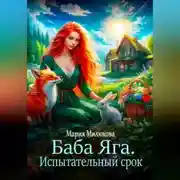 Постер книги Баба Яга. Испытательный срок