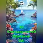 Постер книги 20 благодарностей Кристине Ой!