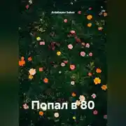 Постер книги Попал в 80