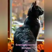 Постер книги 20 благодарностей Эллине Ла