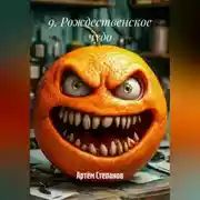 Постер книги 9. Рождественское чудо