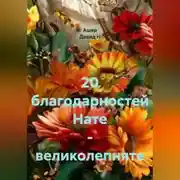 Постер книги 20 благодарностей Нате – великолепняте