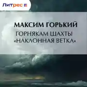 Постер книги Горнякам шахты «Наклонная ветка»