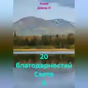 Постер книги 20 благодарностей Свете А