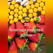 Постер книги 20 Благодарностей Юлии У
