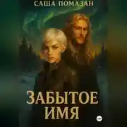 Постер книги Забытое имя