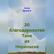 Постер книги 20 благодарностей Тане из Норильска