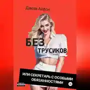 Постер книги Без трусиков или секретарь с особыми обязанностями