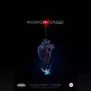 Постер книги Мокрое сердце