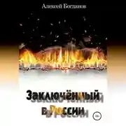 Постер книги Заключённый в России