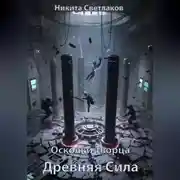 Постер книги Осколки Творца. Древняя Сила.