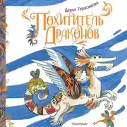 Постер книги Похититель драконов