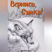 Постер книги Вернись, Сэмка!