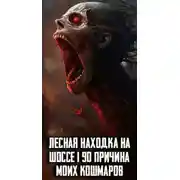 Постер книги Лесная находка на шоссе I-90 причина моих кошмаров