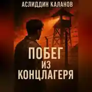Постер книги Побег из концлагеря
