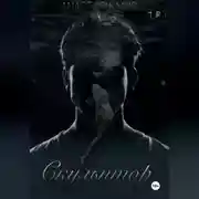 Постер книги Скульптор