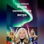 Постер книги Волхв солнечного ветра