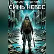 Постер книги Синь Небес