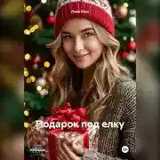 Постер книги Подарок под елку
