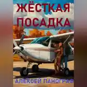Постер книги Жёсткая посадка