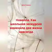 Постер книги Новелла. Как школьная экскурсия изменила две жизни навсегда.