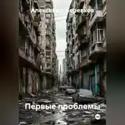 Постер книги Первые проблемы