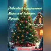 Постер книги Новогоднее приключение Милы и её братика Лучика.