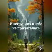 Постер книги Инструкция к себе не прилагалась