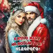 Постер книги Куплю жену на Новый год! Недорого!