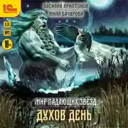 Постер книги Мир падающих звезд. Духов день