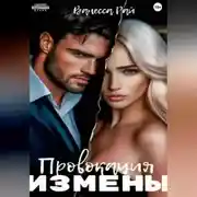 Постер книги Провокация измены
