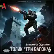 Постер книги Толик Три вагона