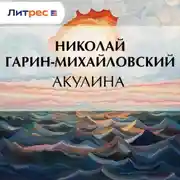 Постер книги Акулина