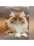 Владимир Фисун -старший - Коттабыч