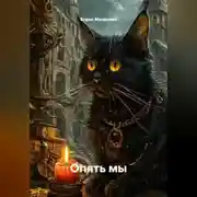 Постер книги Опять мы