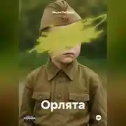 Постер книги Орлята