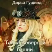 Постер книги Тайна Северной башни