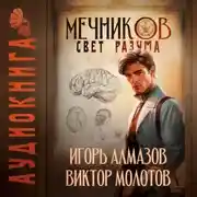 Постер книги Мечников. Том 11. Свет разума